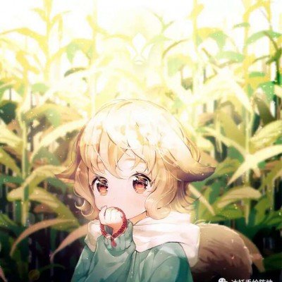 Bin状态